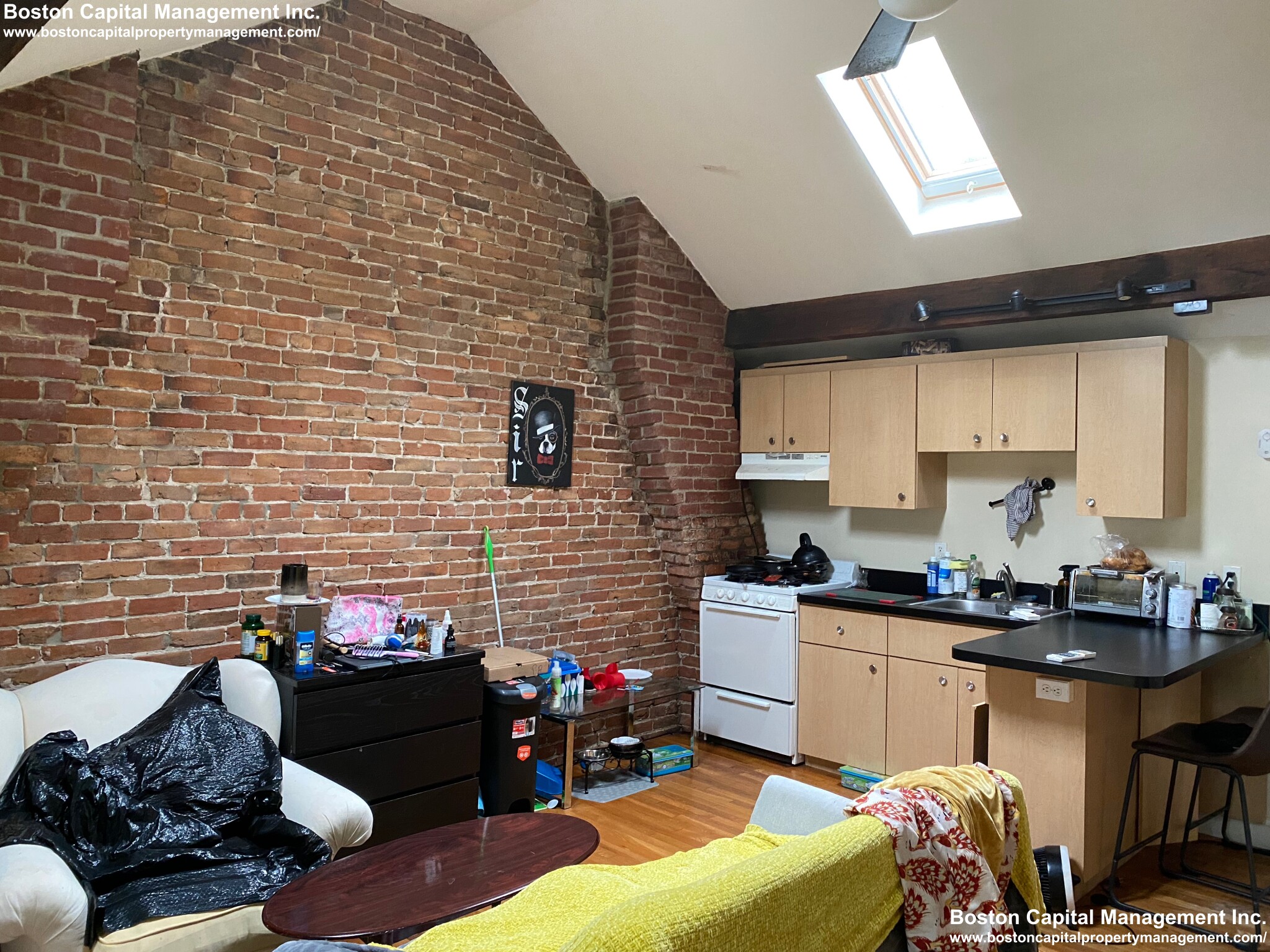 66 Trenton Street #3