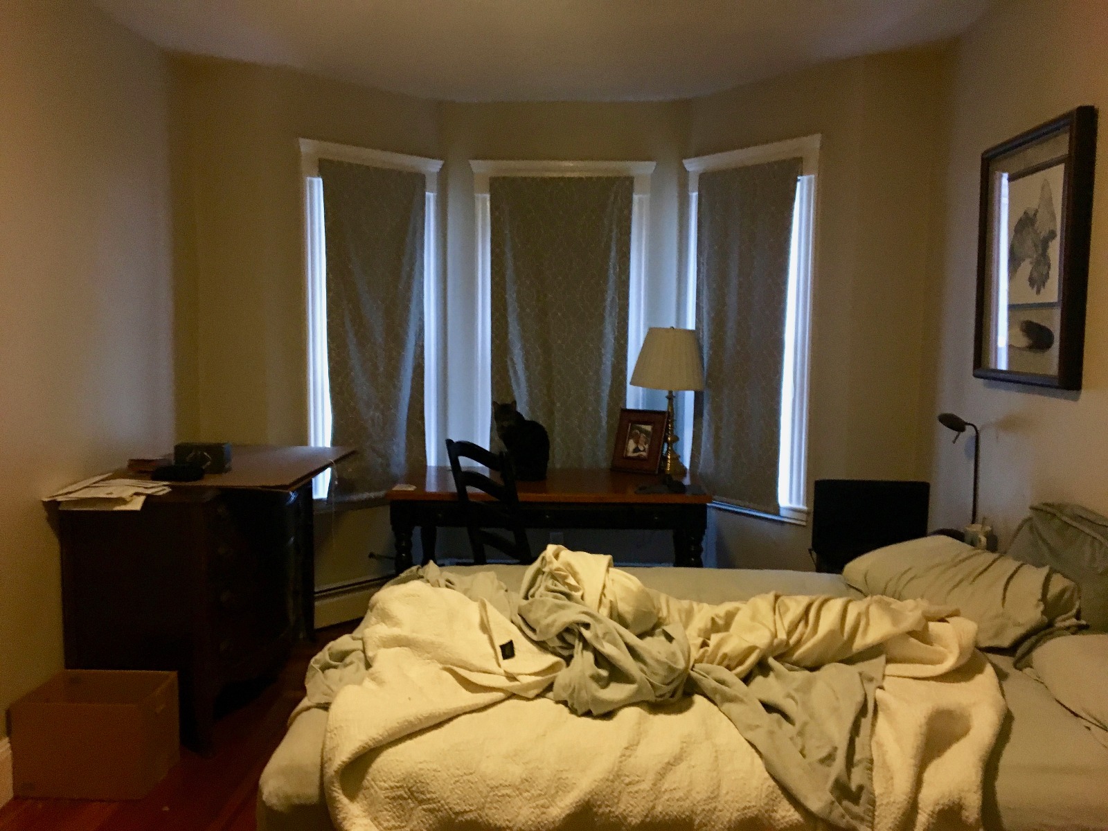 Property thumbnail image